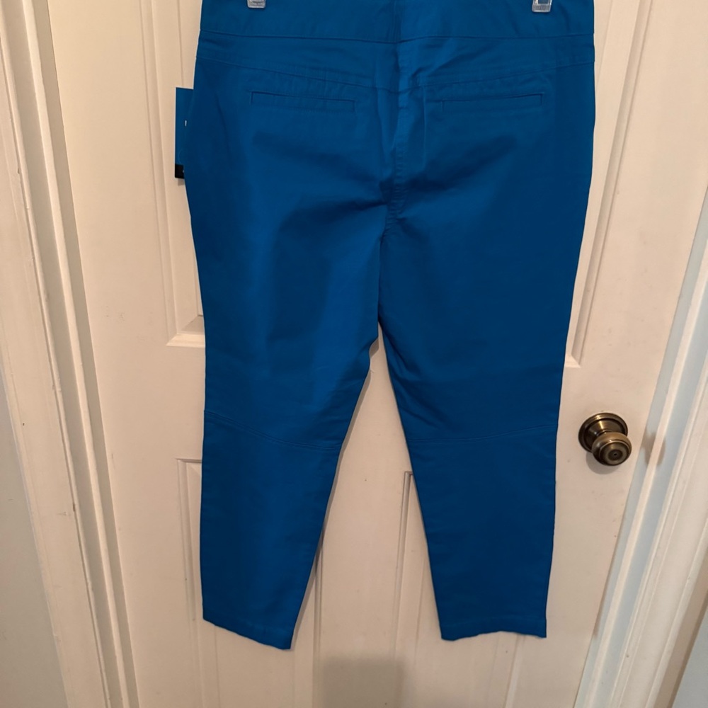 Derek Lam NWT Size 8 Turquoise Pants with Sleek Knee Motorcycle Seaming - Picture 3 of 7